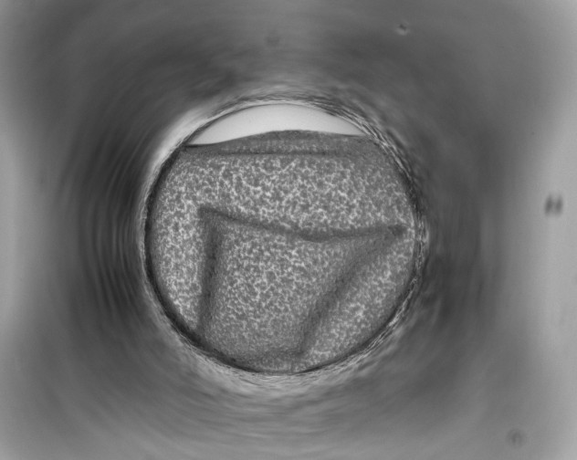 X0000099310006200805231413