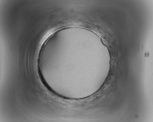 X0000099310007200805231413