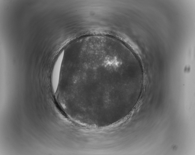 X0000099310009200805231413