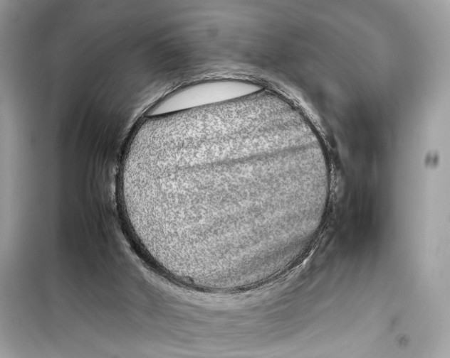 X0000099310010200805231413