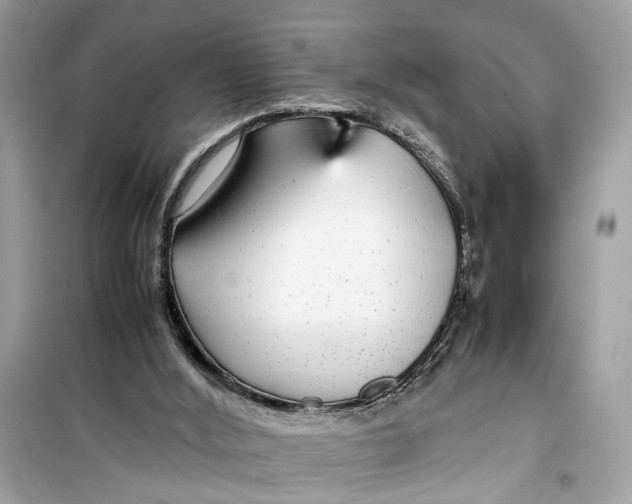 X0000099310012200805231413