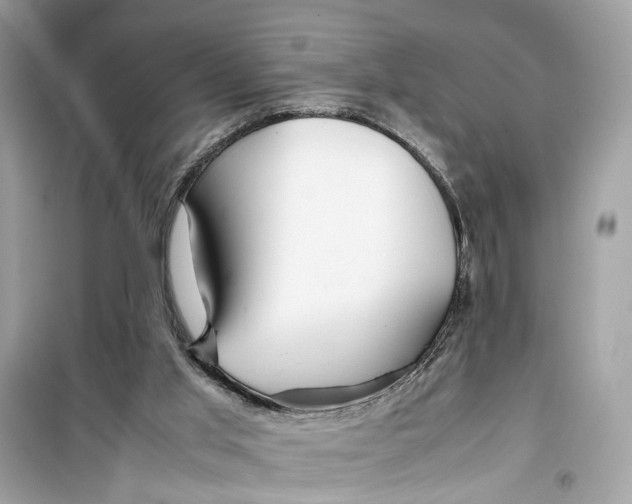 X0000099310013200805231413