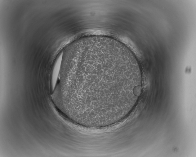 X0000099310014200805231413