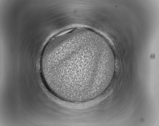 X0000099310015200805231413