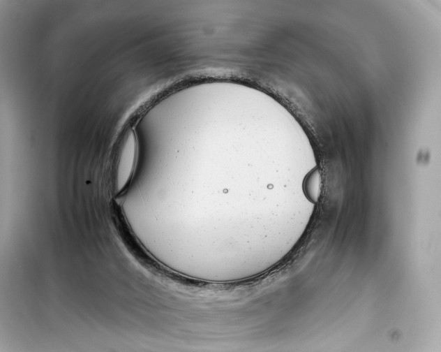 X0000099310016200805231413