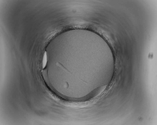 X0000099310017200805231413