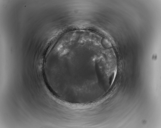 X0000099310018200805231413