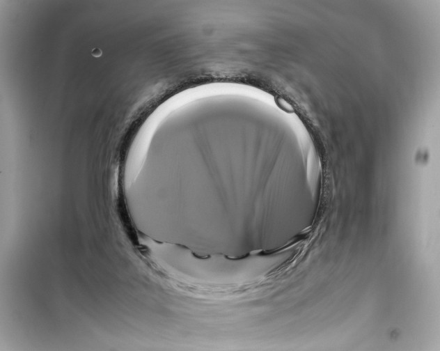 X0000099310019200805231413