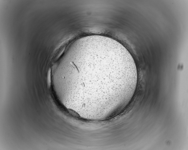 X0000099310020200805231413