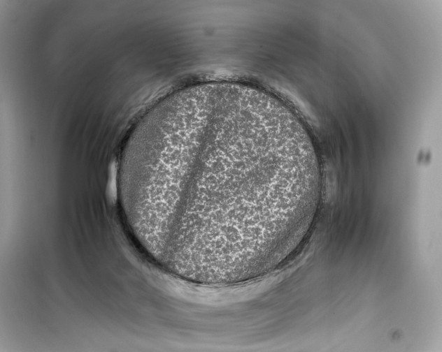 X0000099310022200805231413