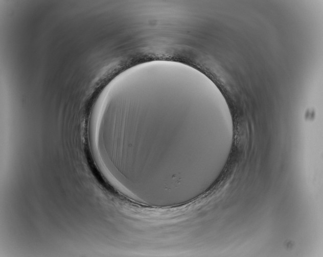 X0000099310023200805231413