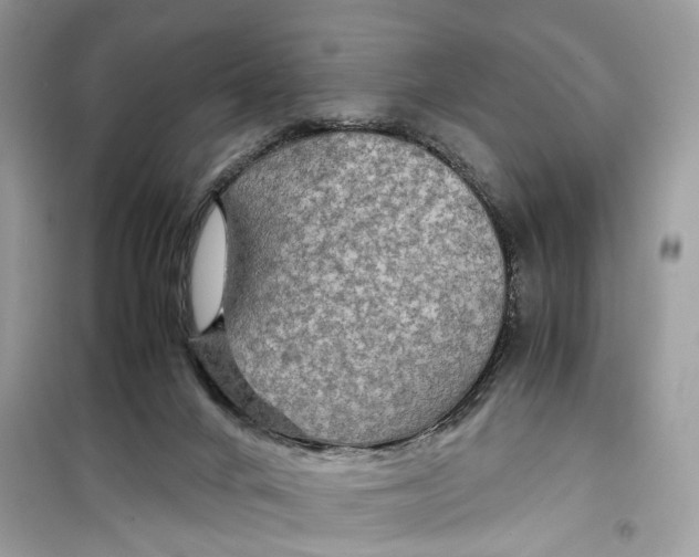 X0000099310024200805231413