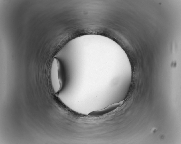 X0000099310025200805231413