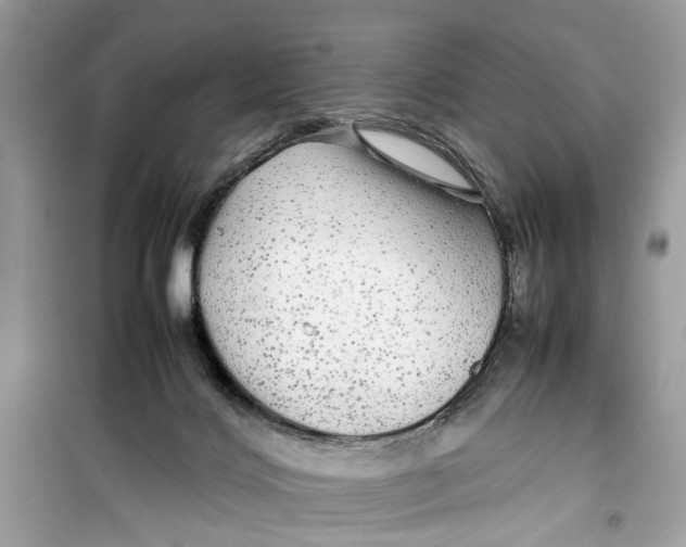 X0000099310028200805231413