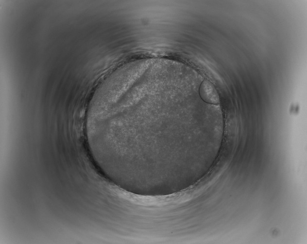 X0000099310030200805231413