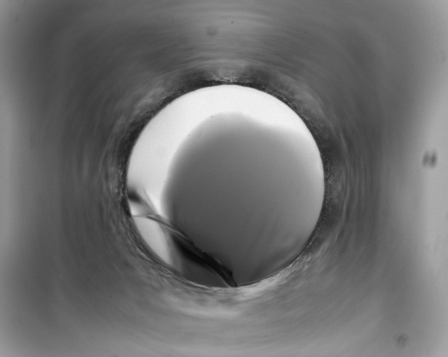 X0000099310031200805231413