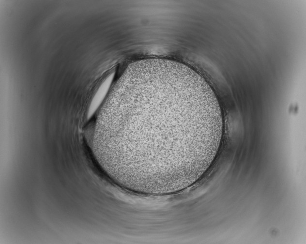 X0000099310032200805231413