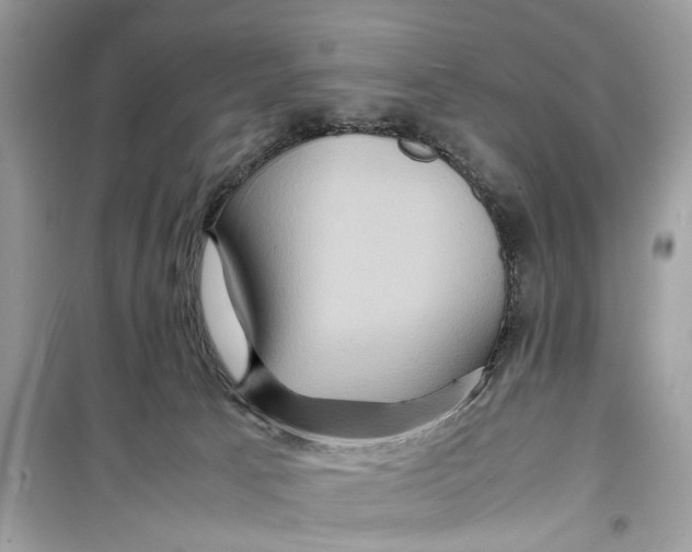 X0000099310033200805231413