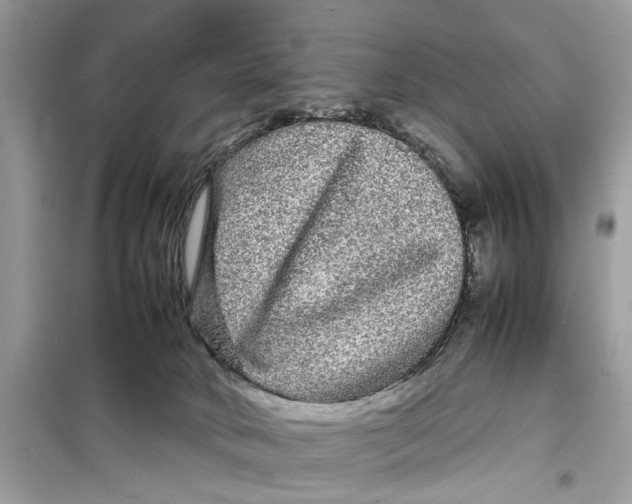 X0000099310034200805231413