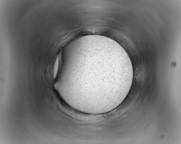 X0000099310036200805231413