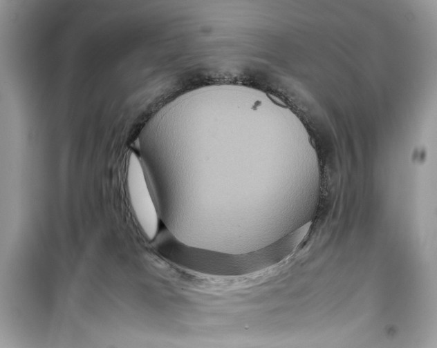 X0000099310037200805231413