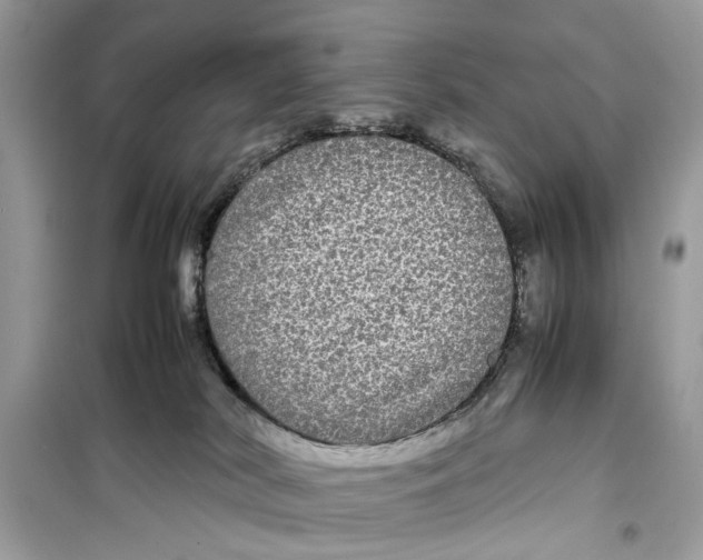 X0000099310038200805231413