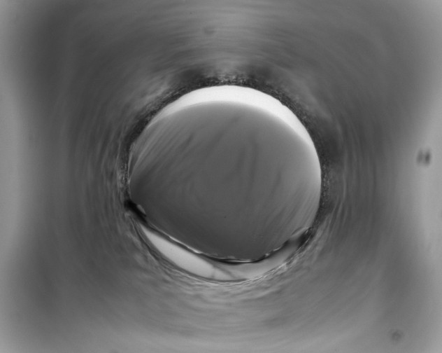 X0000099310039200805231413