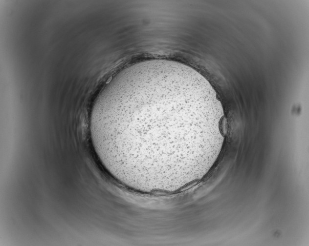 X0000099310040200805231413