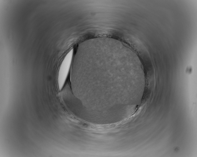 X0000099310041200805231413