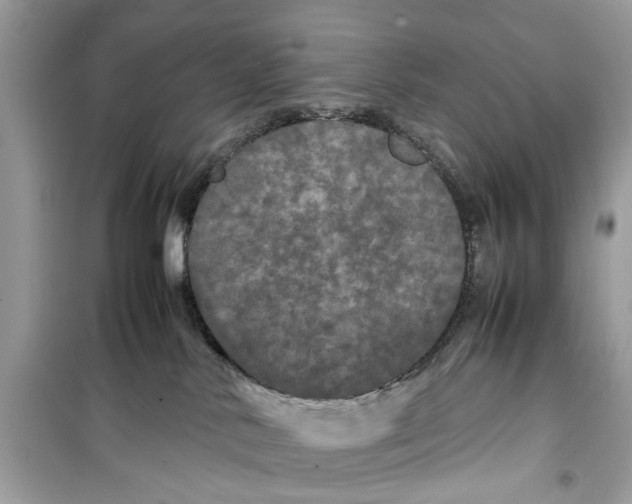 X0000099310042200805231412