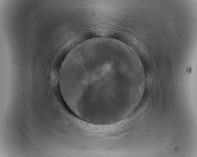 X0000099310043200805231412