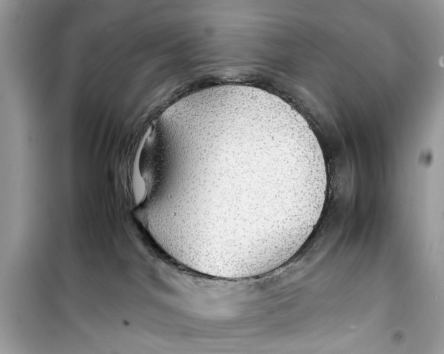 X0000099310044200805231412