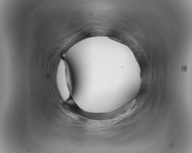 X0000099310045200805231412