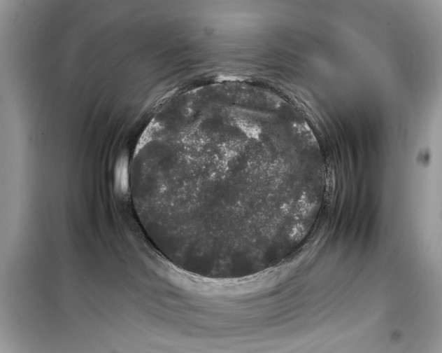 X0000099310046200805231412