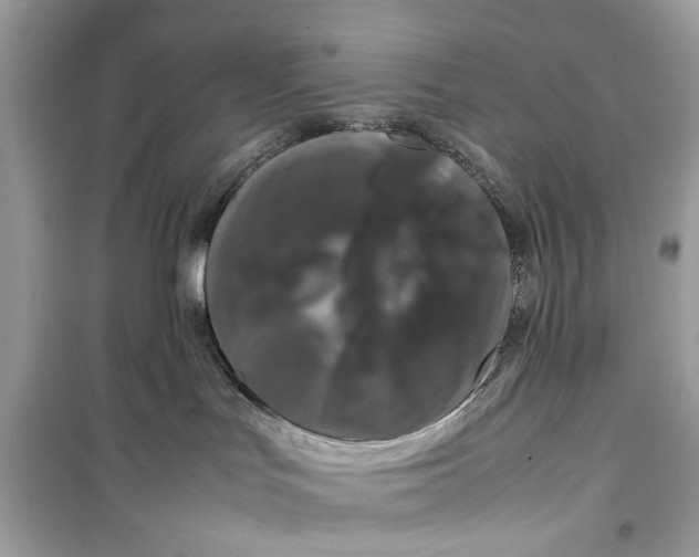 X0000099310047200805231412