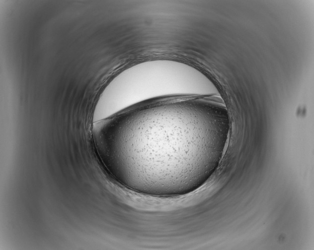 X0000099310048200805231412