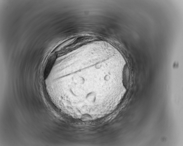 X0000099310049200805231412