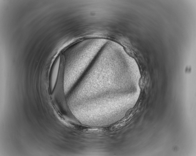 X0000099310050200805231412