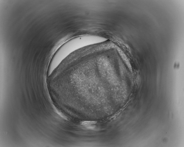 X0000099310051200805231412