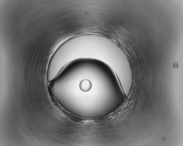 X0000099310052200805231412