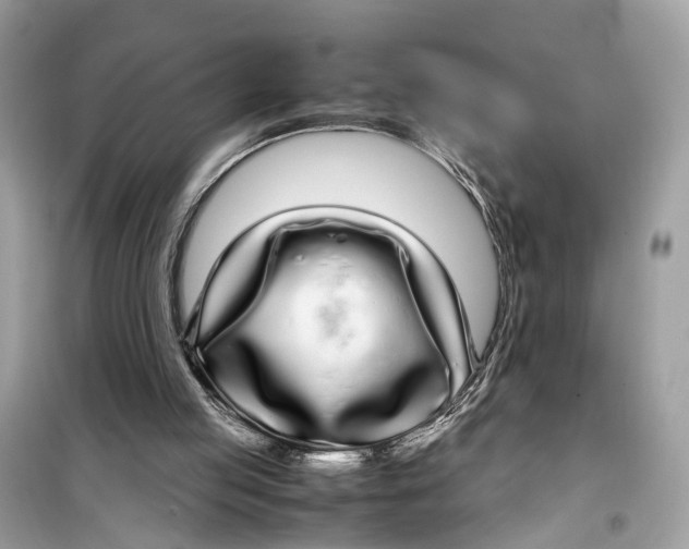 X0000099310053200805231412