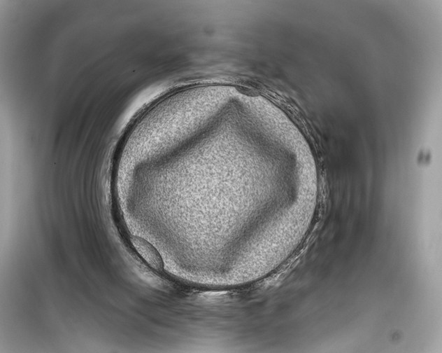 X0000099310054200805231412