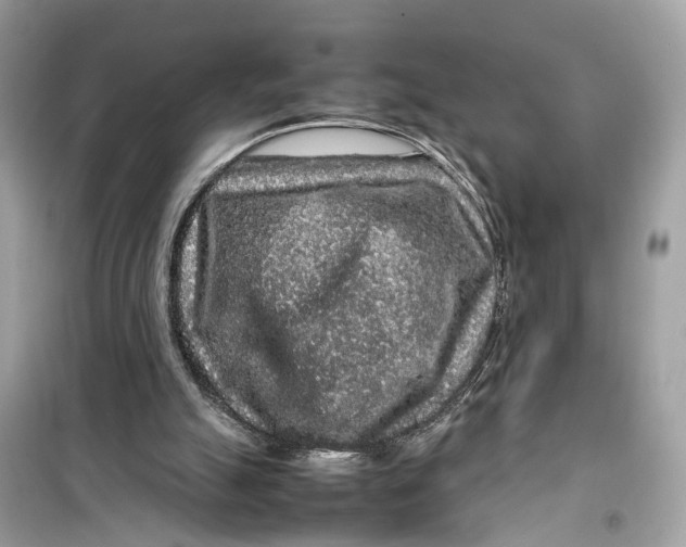 X0000099310055200805231412