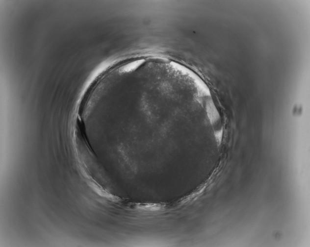 X0000099310056200805231412