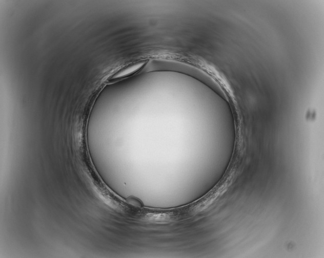 X0000099310057200805231412