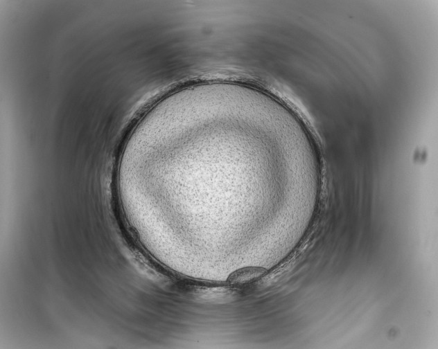 X0000099310058200805231412