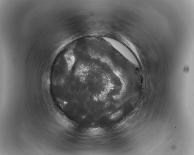 X0000099310059200805231412