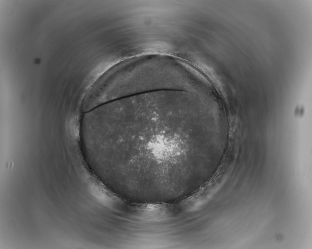 X0000099310060200805231412