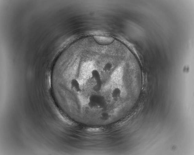 X0000099310061200805231412