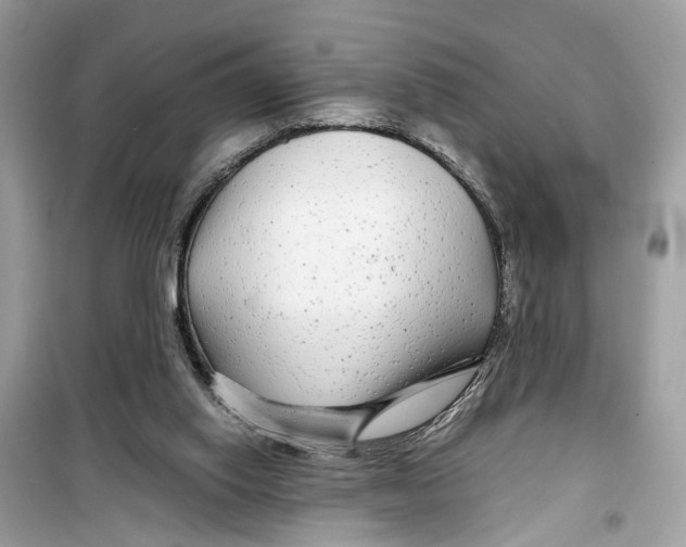 X0000099310062200805231412